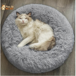 Coussin SoftCat