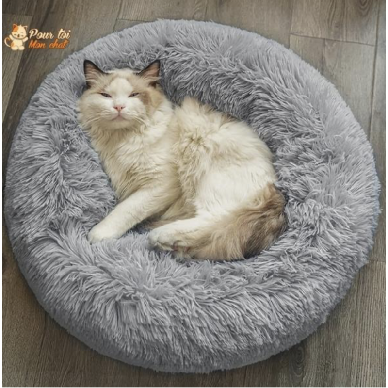 Coussin SoftCat