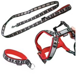 Pack Balade Chien