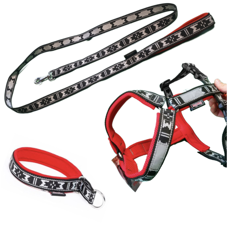 Pack Balade Chien