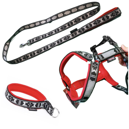 Pack Balade Chien